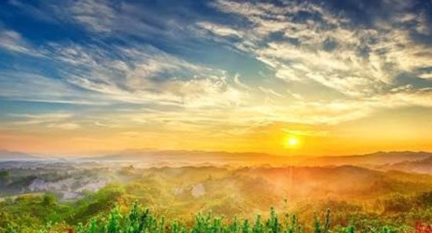 品牌故事 - 爱情岛论坛 - 用内容创造影响力的初心记录