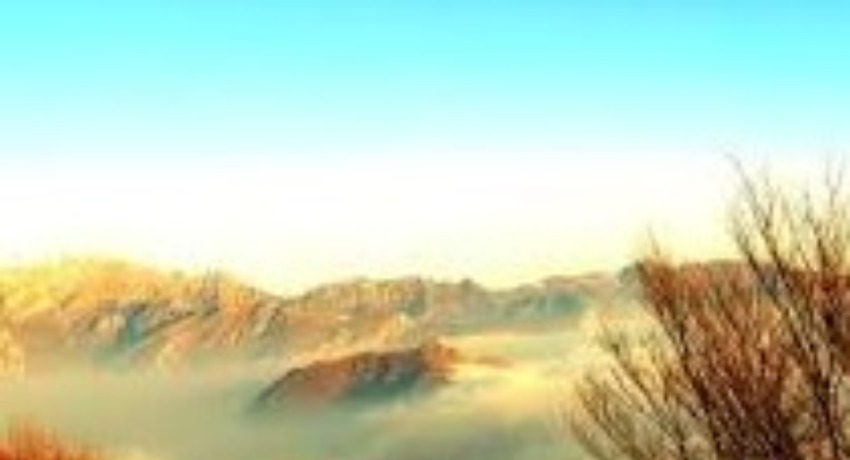 创意脑洞孵化区 - 爱情岛论坛 - 创意想法碰撞打磨的脑洞实验阵地
