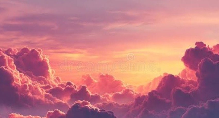 品牌理念 - 爱情岛论坛 - 指引我们做好每一次传播的核心